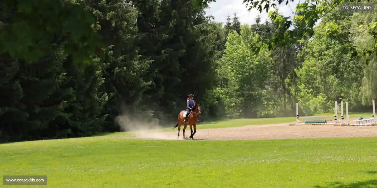 <strong>UED官网</strong>🌱运动是生活最好的保鲜剂！每一次呼吸，都是活力的绽放～